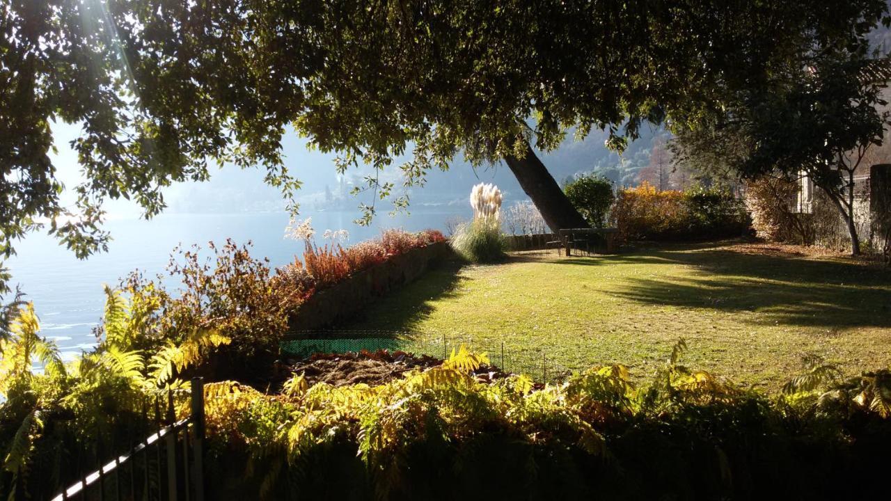 Iseolakerental - Casa Del Pescatore Riva di Solto Exteriör bild